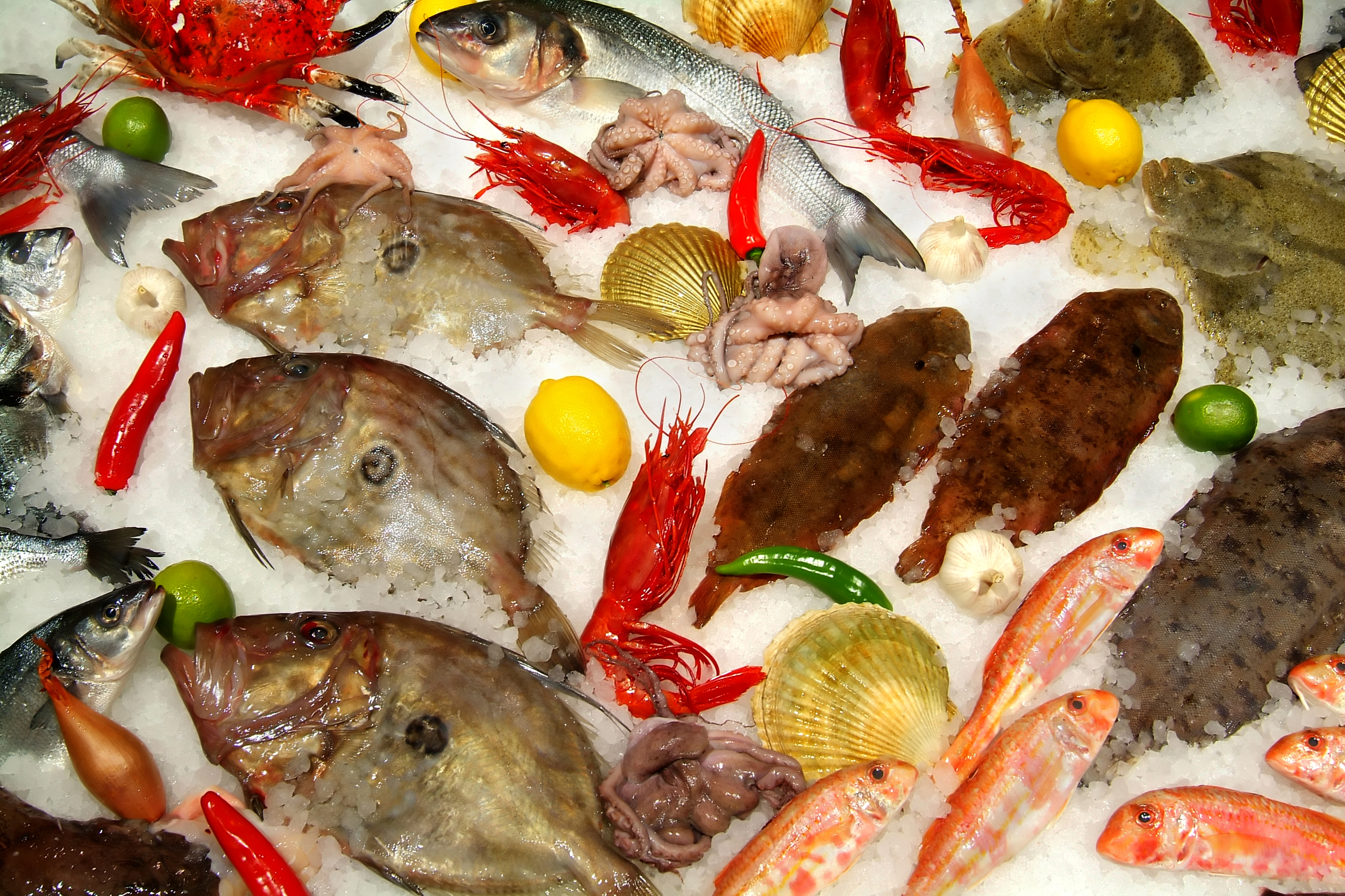 Various types of seafood presented on ice with lemons, limes, and peppers scattered about.